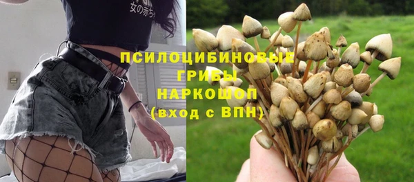 каннабис Ельня