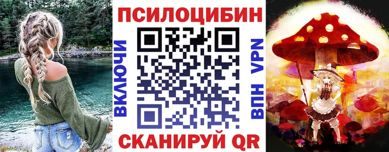 купить наркотик  Сусуман  Псилоцибиновые грибы MAGIC MUSHROOMS 
