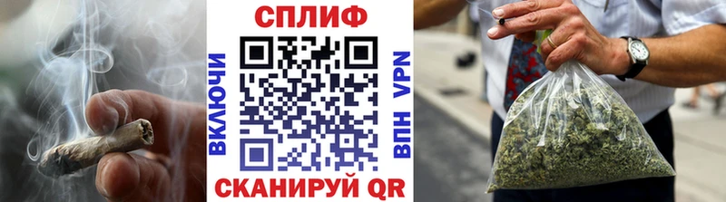 Бошки Шишки конопля  Сусуман 